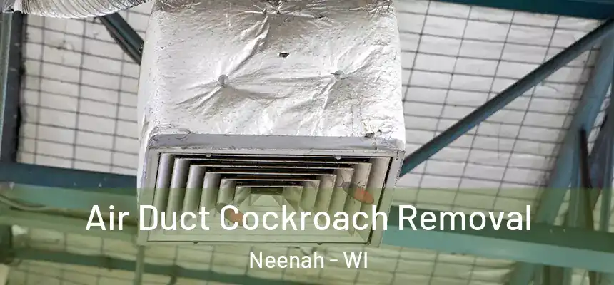 Air Duct Cockroach Removal Neenah - WI
