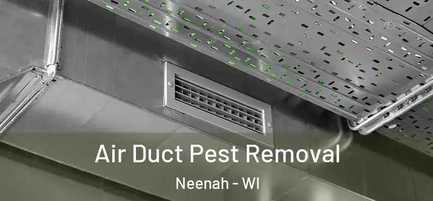 Air Duct Pest Removal Neenah - WI