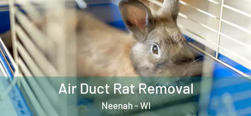  Air Duct Rat Removal Neenah - WI