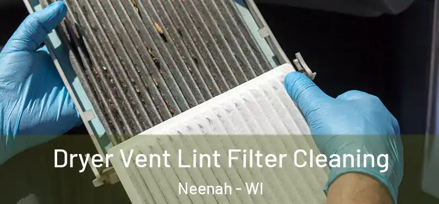 Dryer Vent Lint Filter Cleaning Neenah - WI