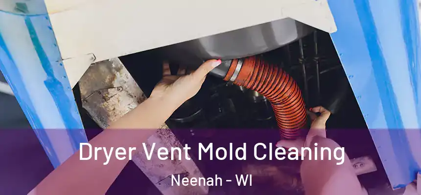  Dryer Vent Mold Cleaning Neenah - WI