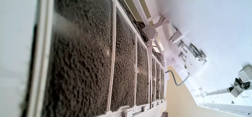 Preventive Air Duct Bacteria Removal in Neenah