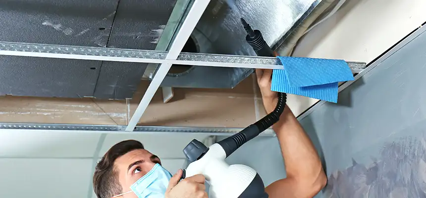 Our Air Duct Rodent Removal Services in Neenah, WI