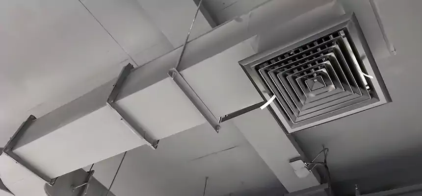 Restorative Allergy Relief Vent Cleaning – Coil, Blower & Housing Detail in Neenah