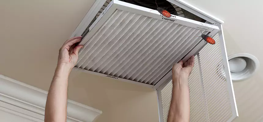Our Insect Removal from Air Ducts Services in Neenah, WI
