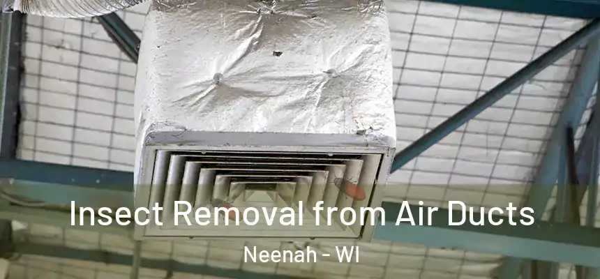  Insect Removal from Air Ducts Neenah - WI