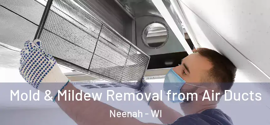 Mold & Mildew Removal from Air Ducts Neenah - WI