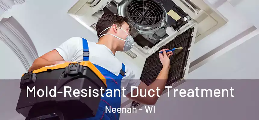  Mold-Resistant Duct Treatment Neenah - WI