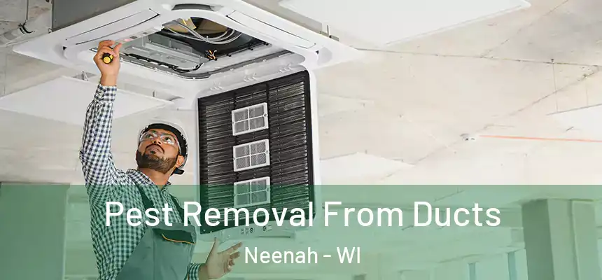 Pest Removal From Ducts Neenah - WI