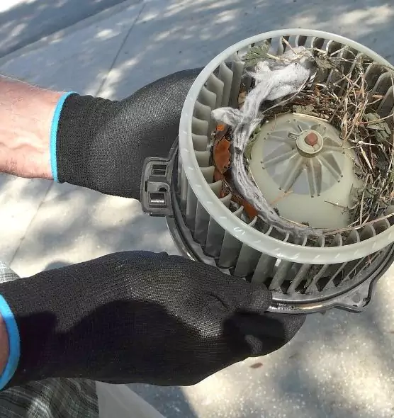 About Air Duct Rat Removal in Neenah, WI