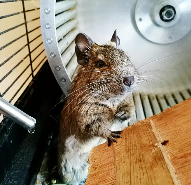 Why Homeowners & Businesses Trust Us Neenah, WI