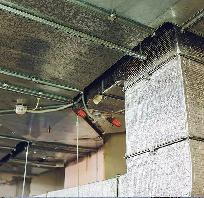 Why Homeowners & Businesses Trust Us Neenah, WI?