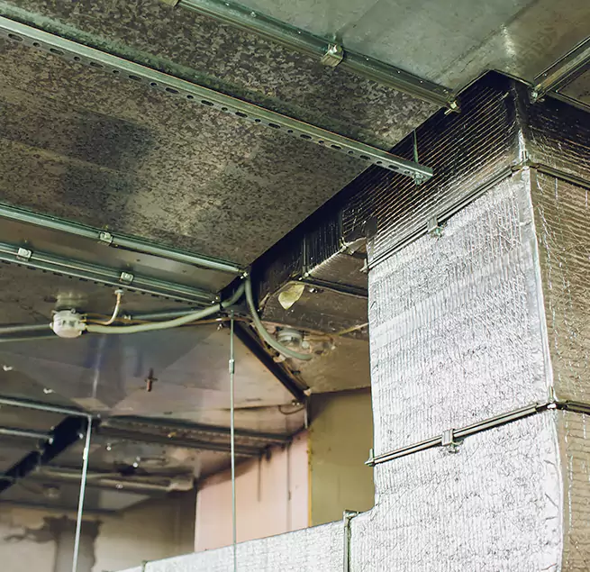 Why Homeowners & Businesses Trust Us in Neenah, WI?